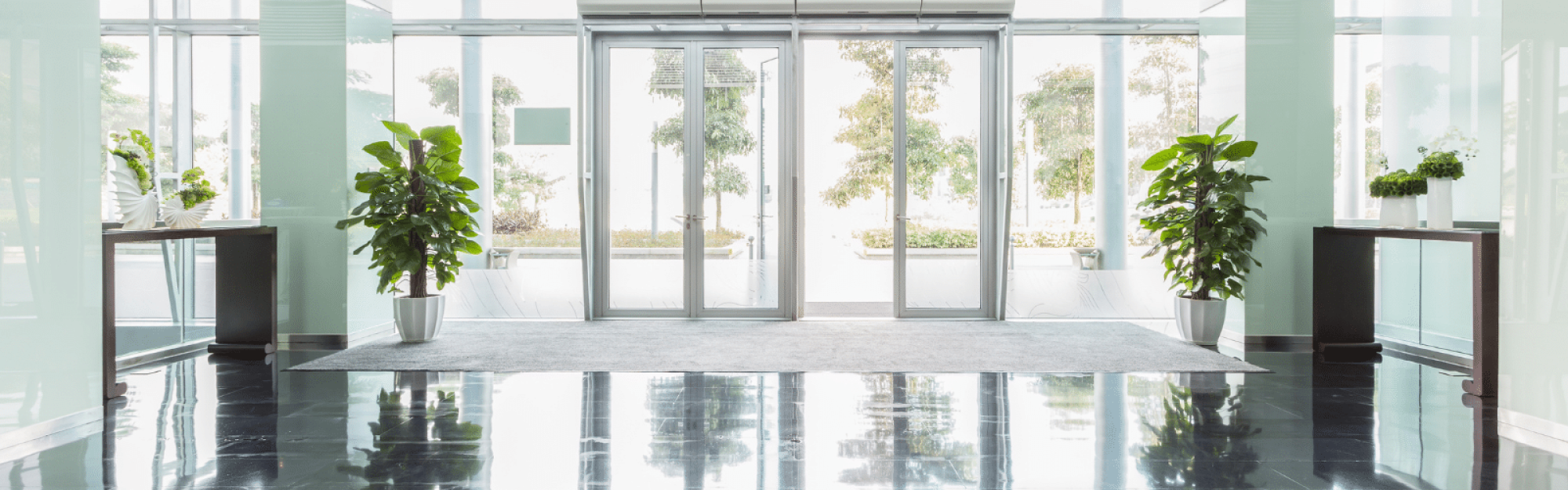 portes en acier vitrées